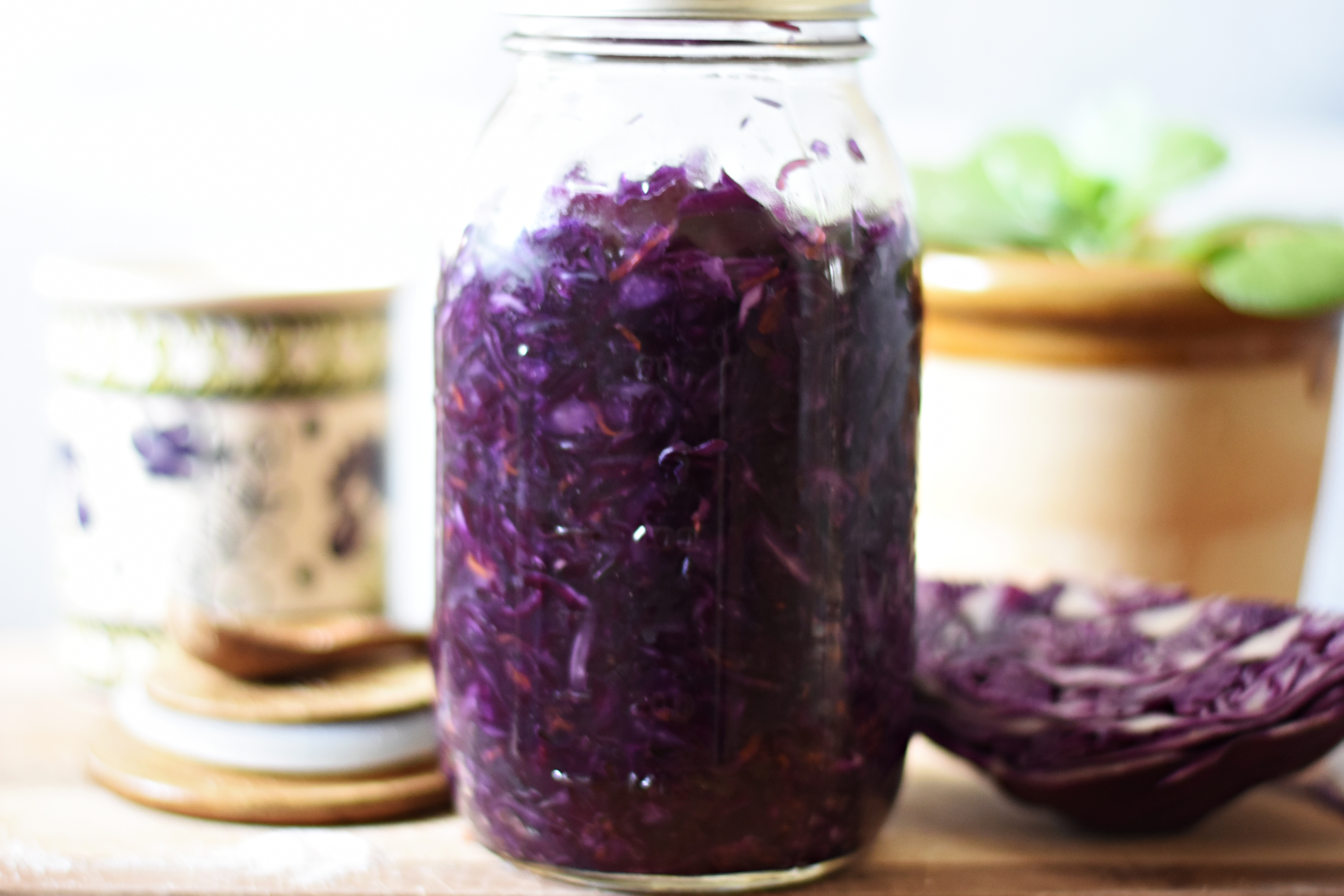 probiotic fermented sauerkraut