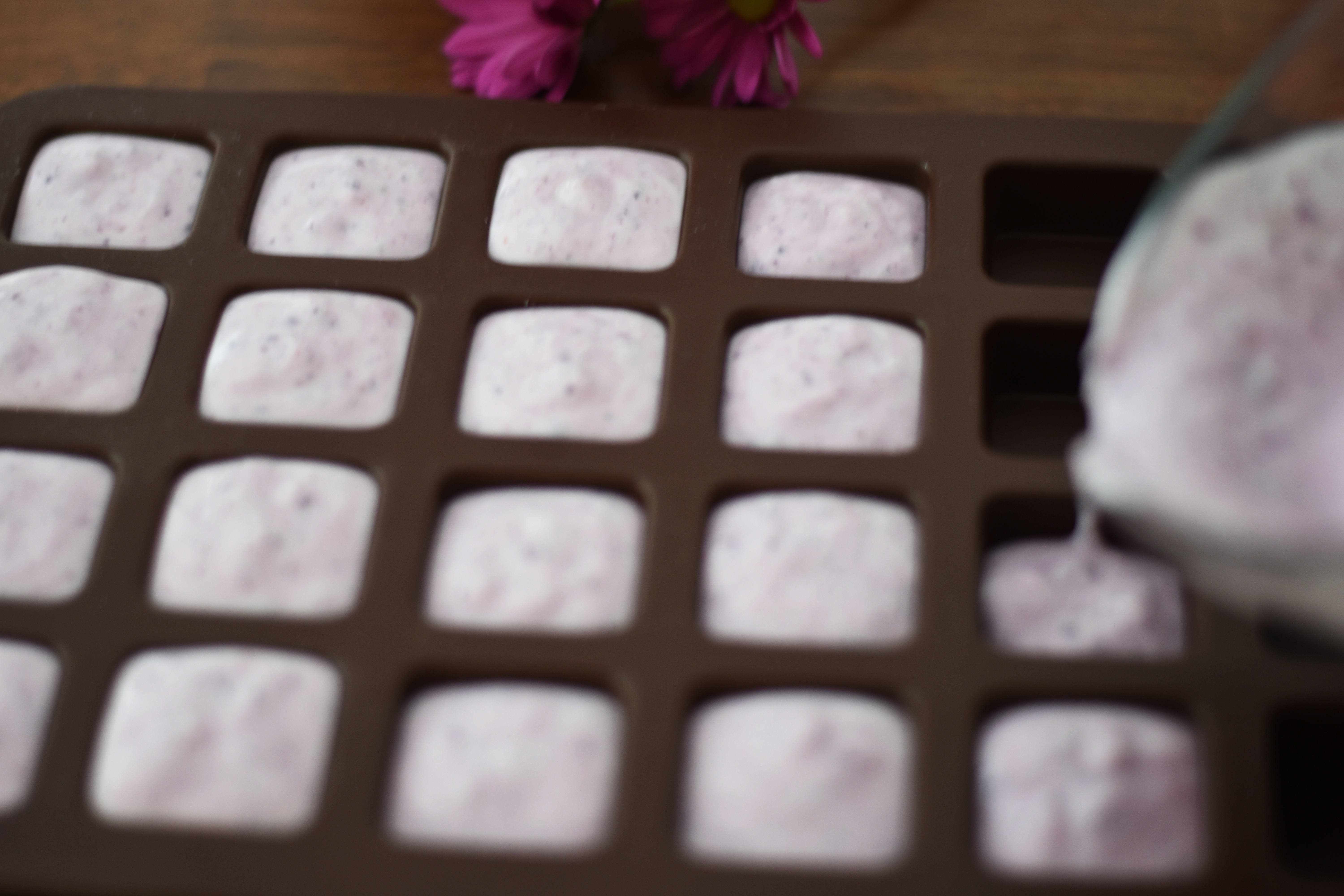 Frozen yogurt and chia bites