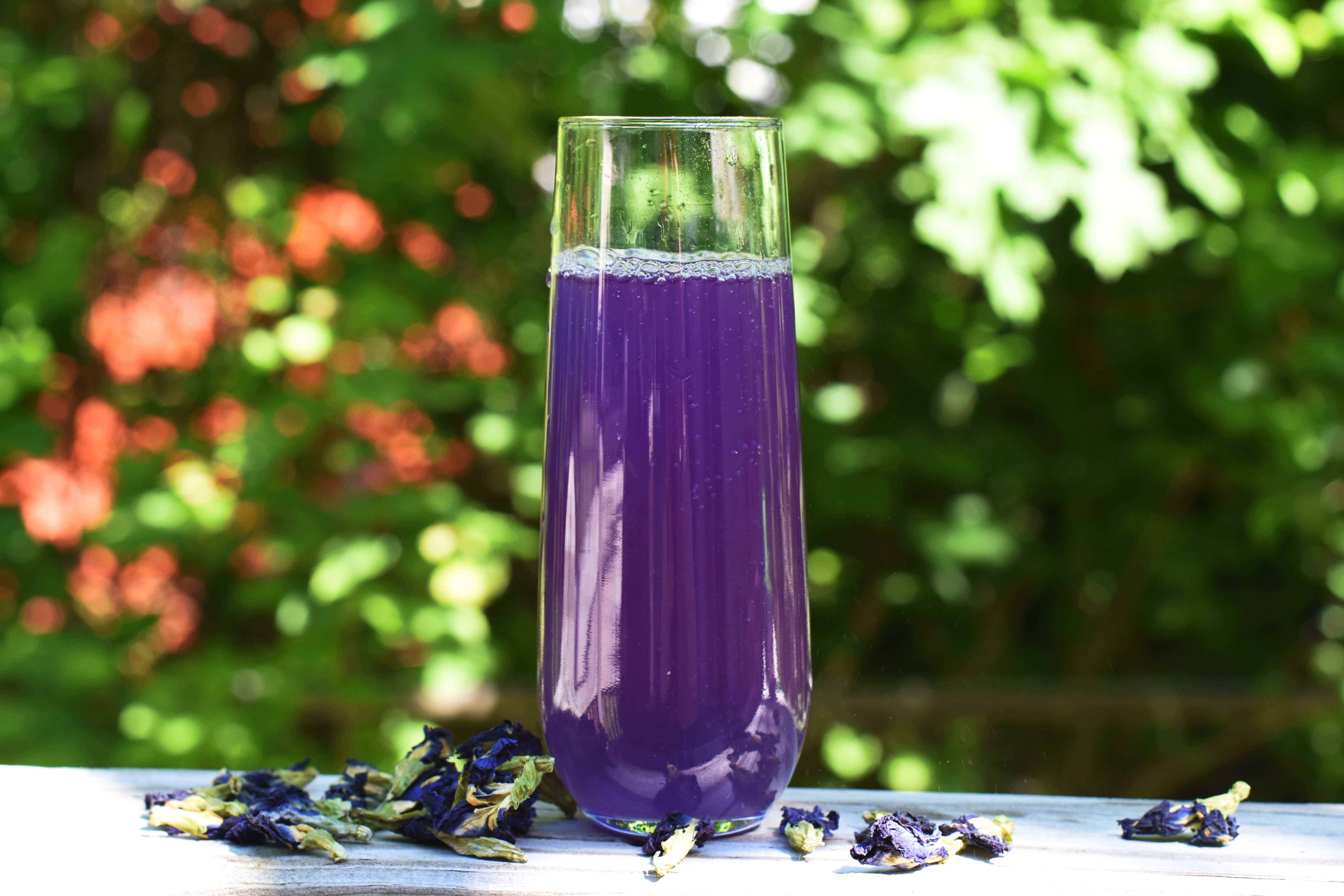 butterfly pea flower soda