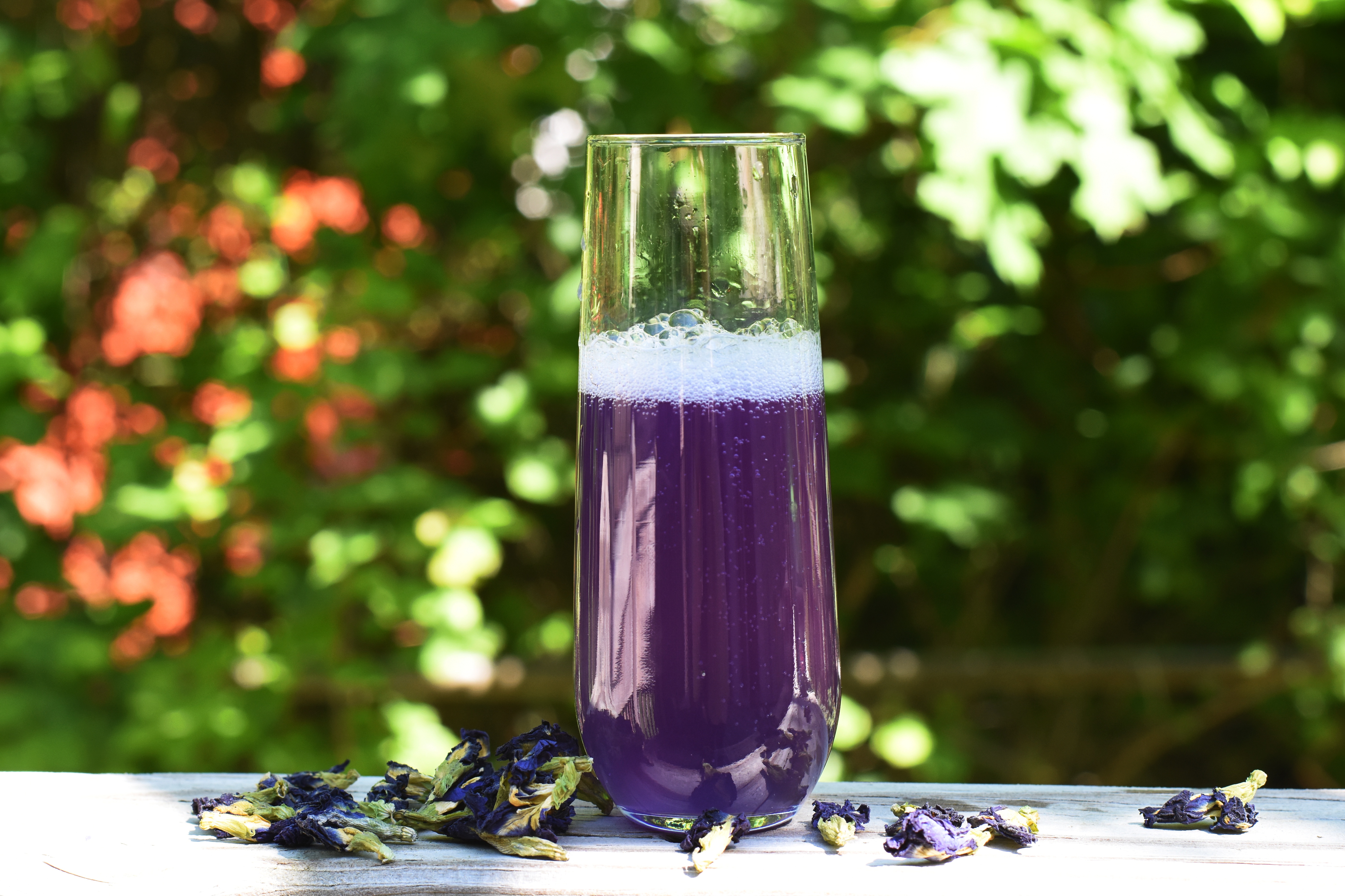 butterfly pea flower soda