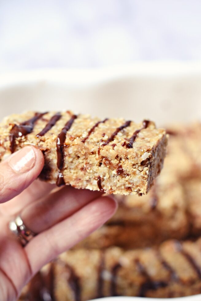 Easy Raw Protein Granola Bars