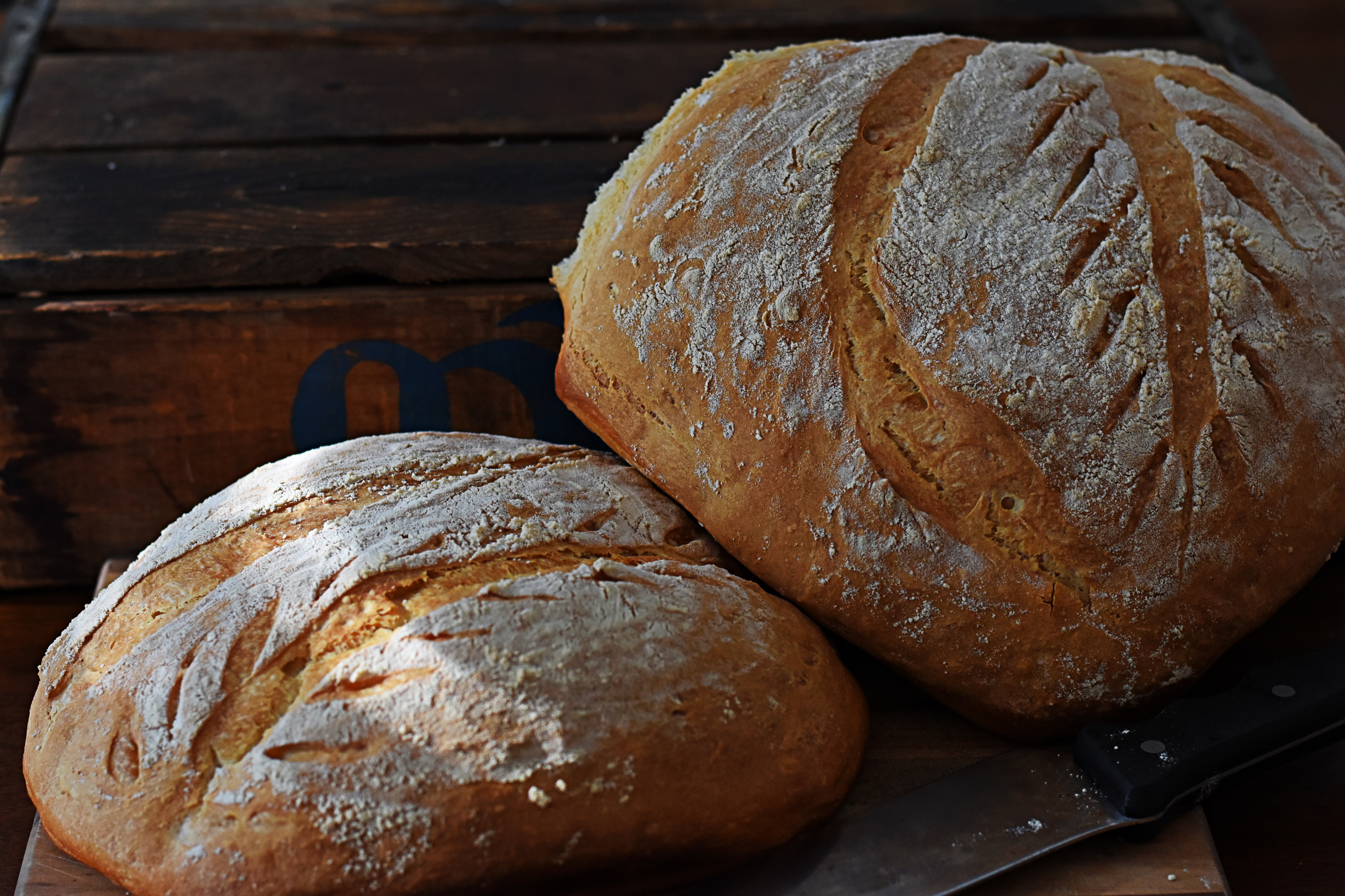 Crusty Artisan Bread