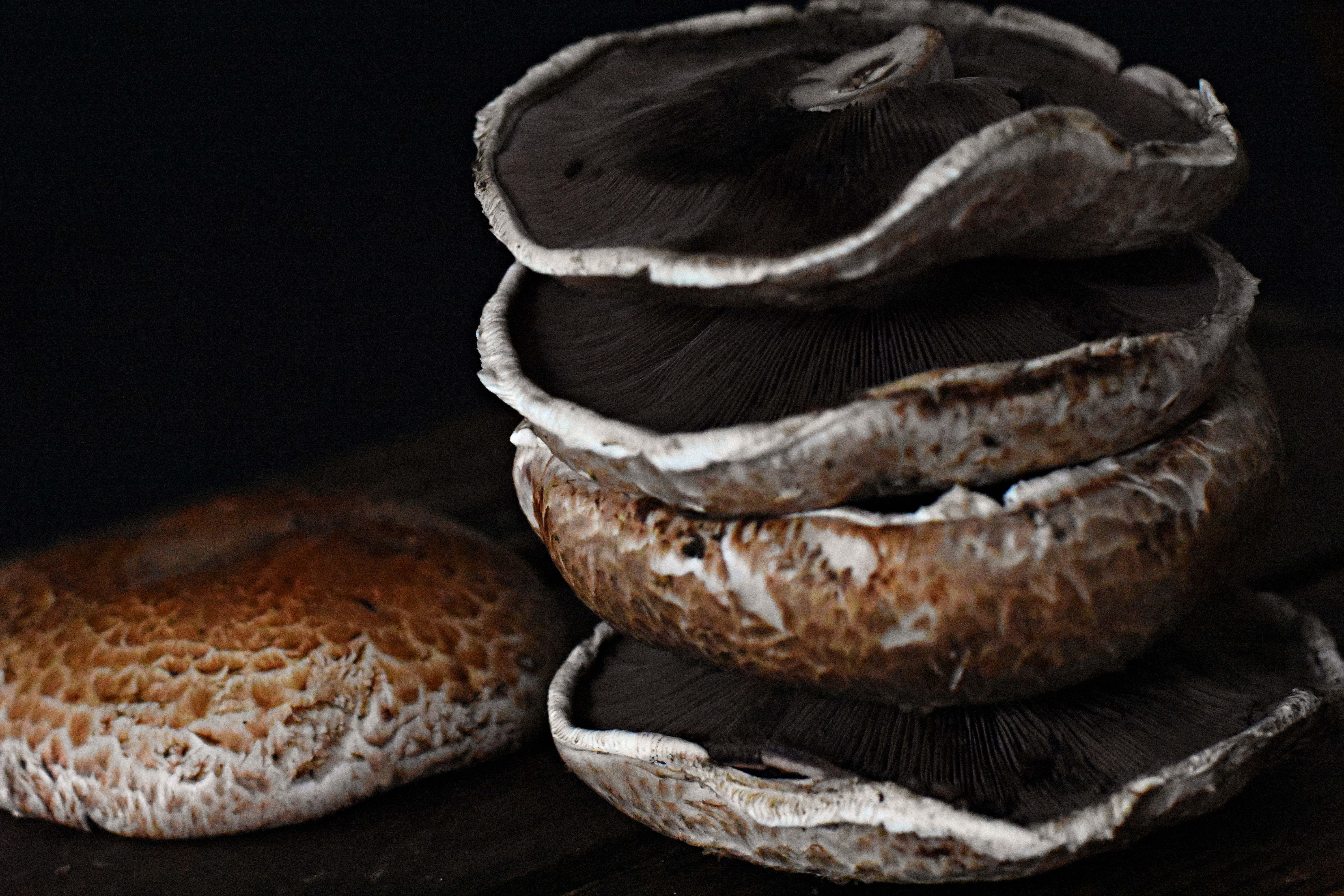 Portobello mushrooms