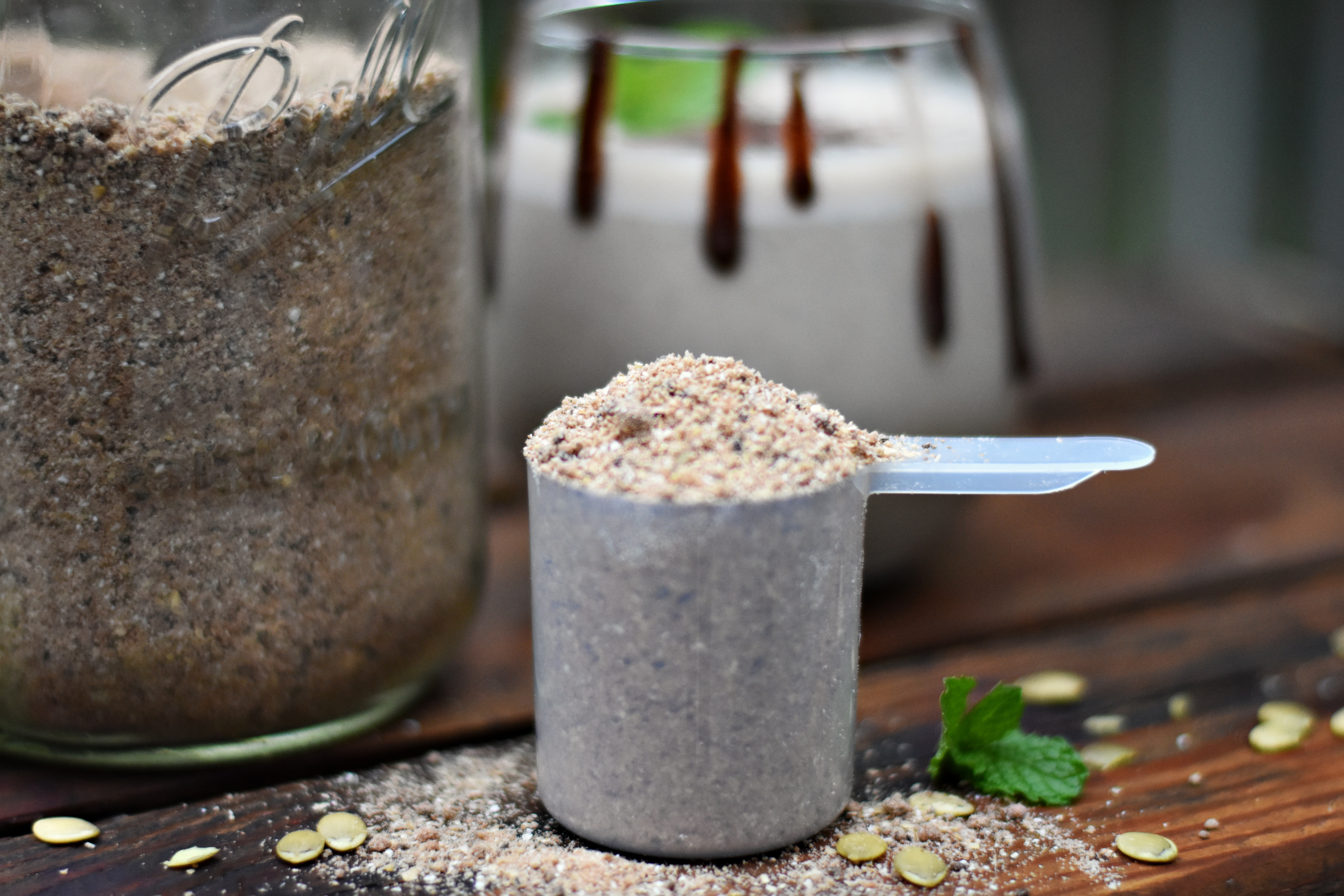 Homemade Protein Powder Elke Living