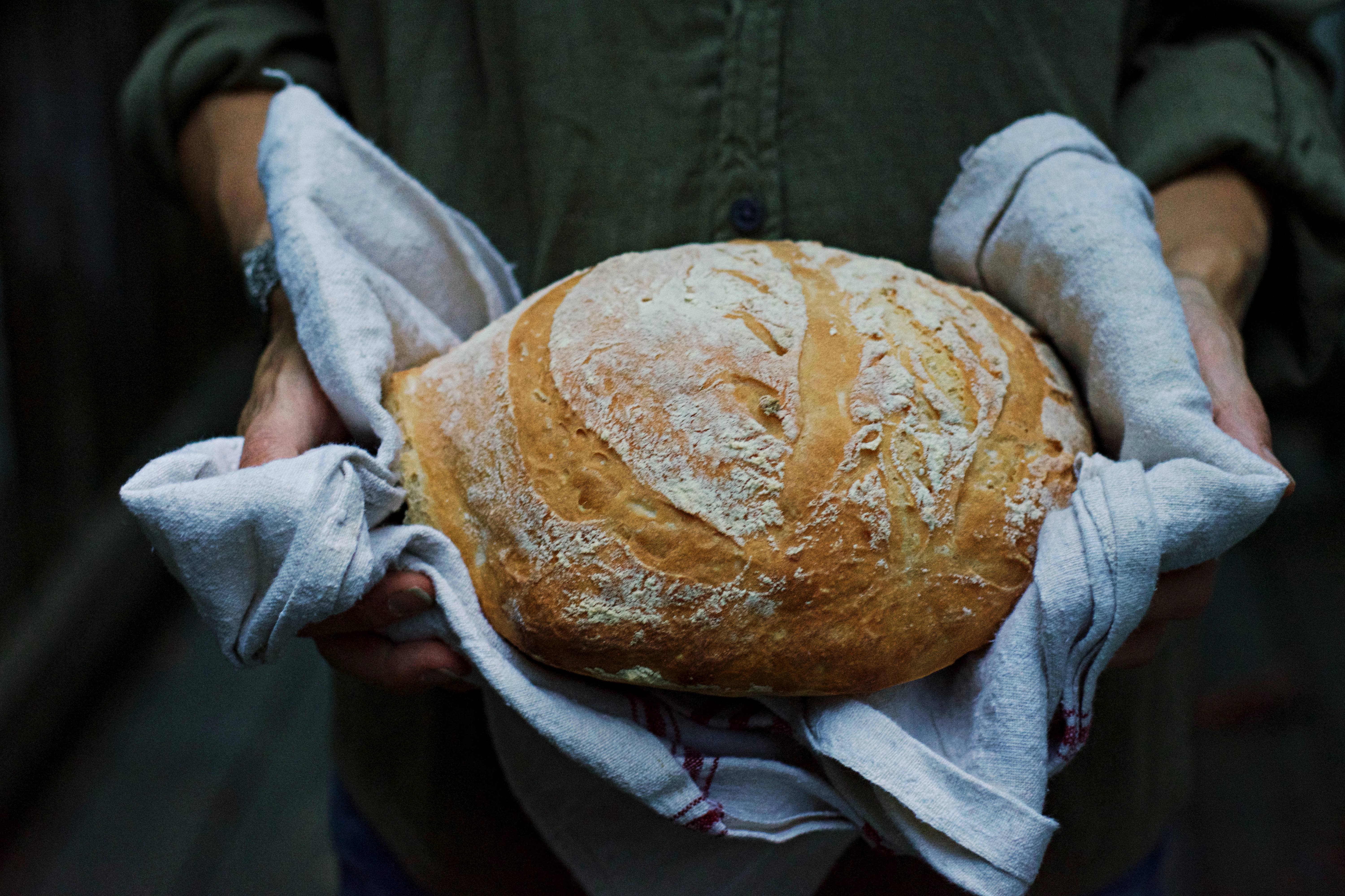 Crusty Artisan Bread