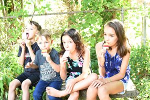 Heathy Popsicles 