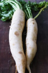 daikon radish