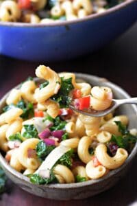 Kale pasta salad